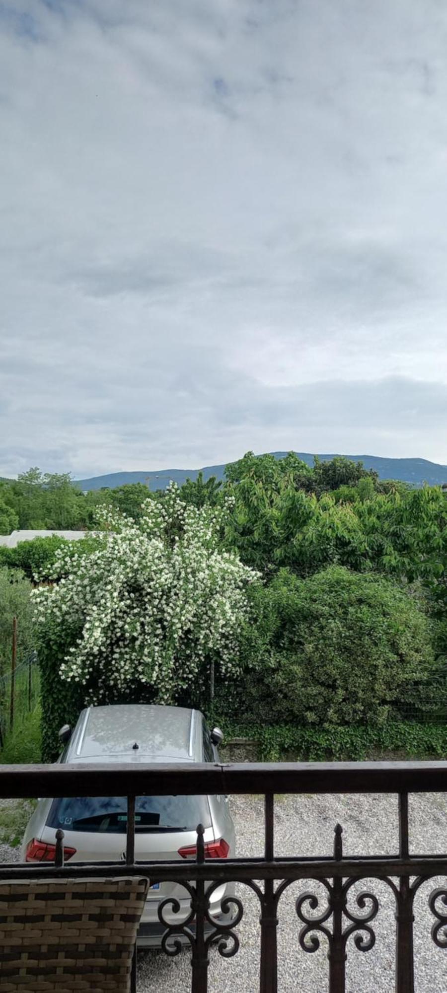 Casa Di Alice Lejlighed Gorizia Eksteriør billede